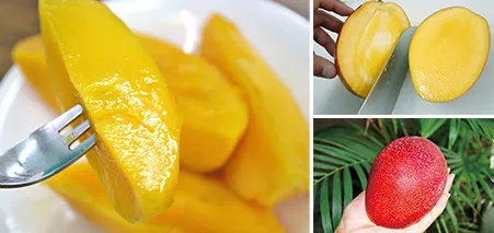 アップルマンゴー（アーウィン種）