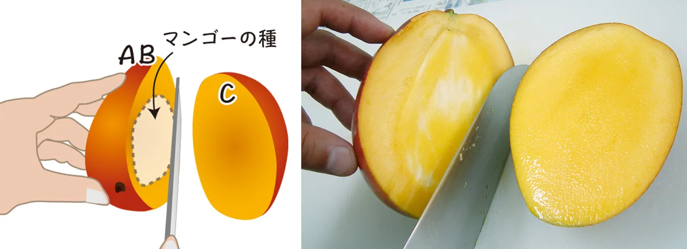 種の感触をさぐりながらなるべくぎりぎりまで切ります。