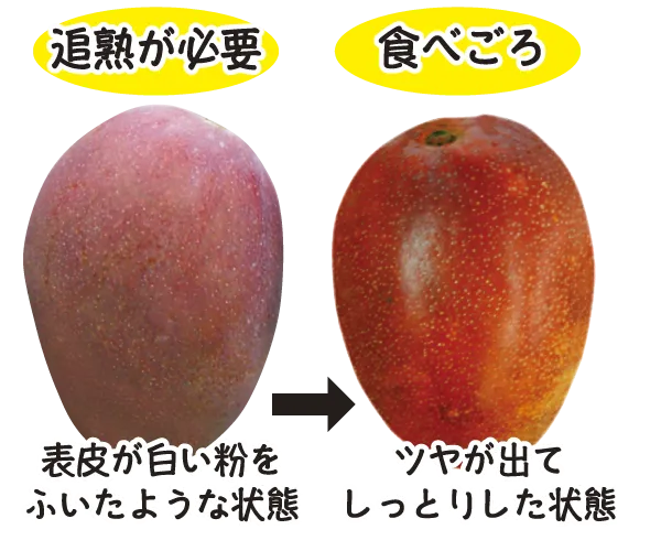 追熟が必要・食べ頃