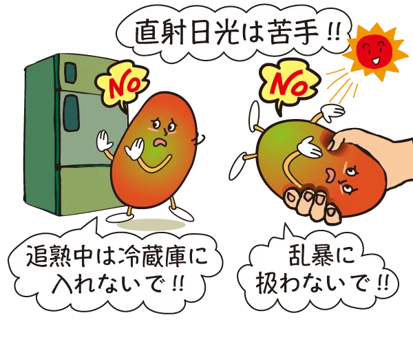 直射日光が苦手