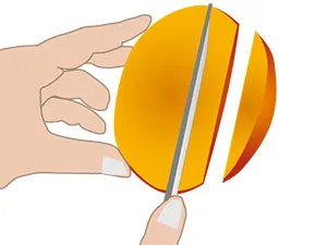 マンゴーの切り分けイラスト