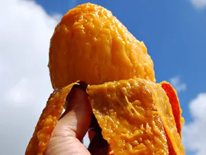 マンゴーをフォークで刺している。