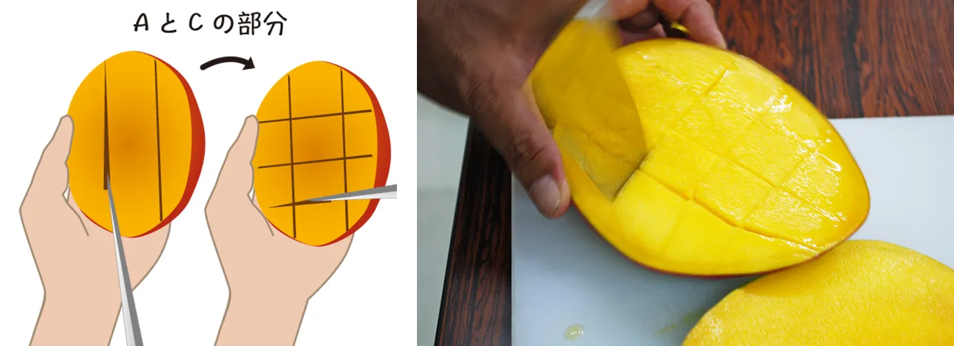 さいの目に切り込みを入れます。皮まで切らないように注意します。