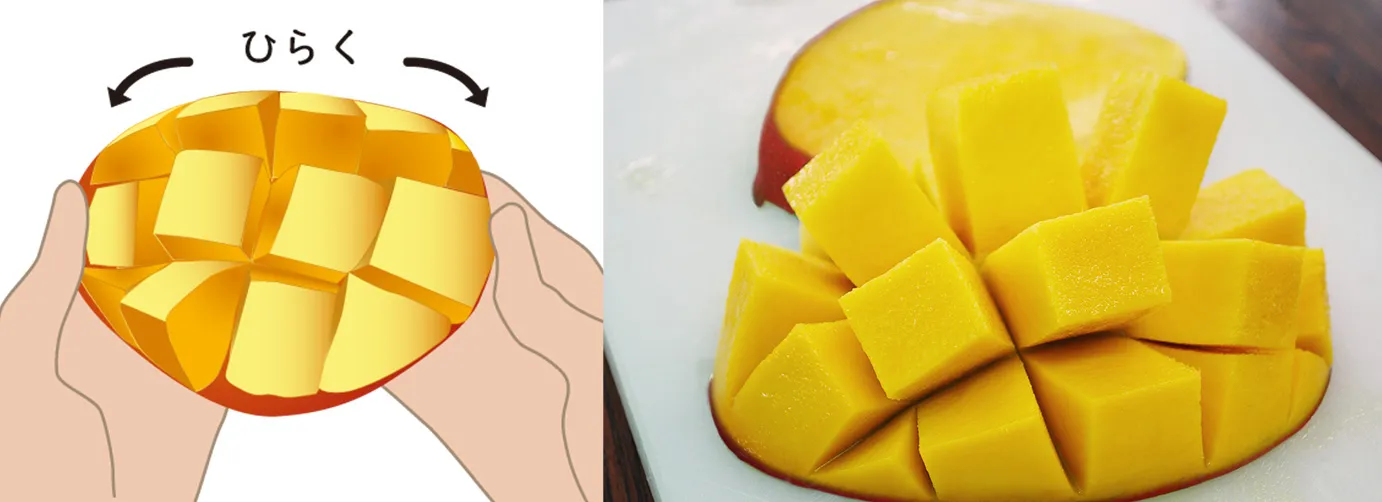 両端を持って皮の部分を裏側から押すように反り返らせます。