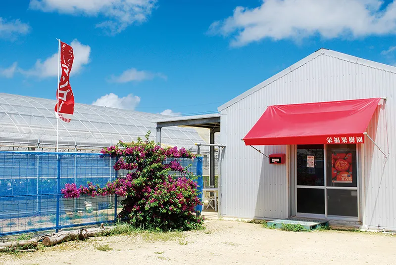 栄福果樹園のお店外観