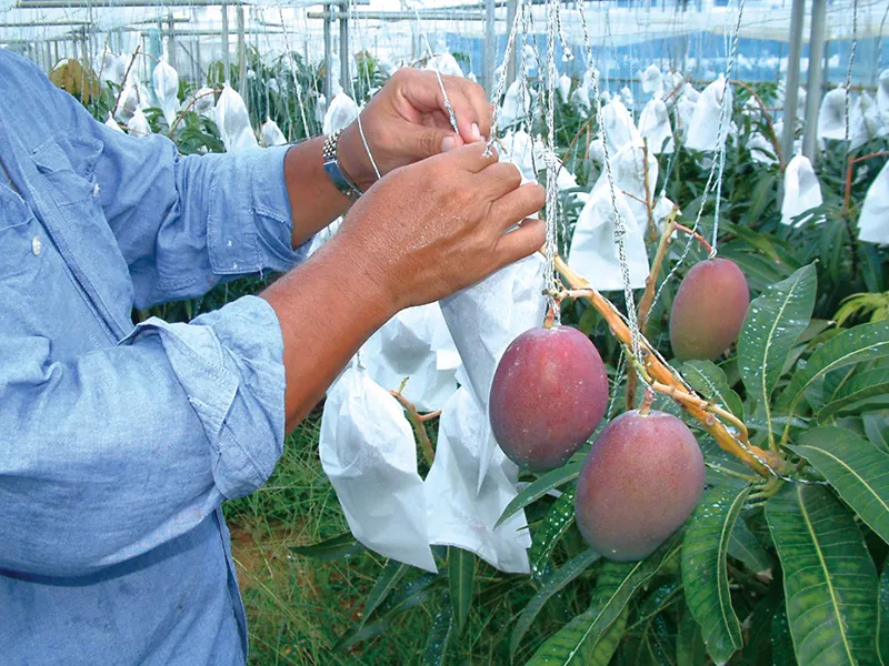 スライドショー2