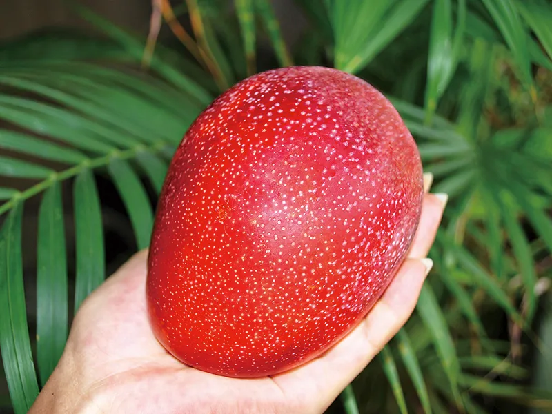 スライドショー3