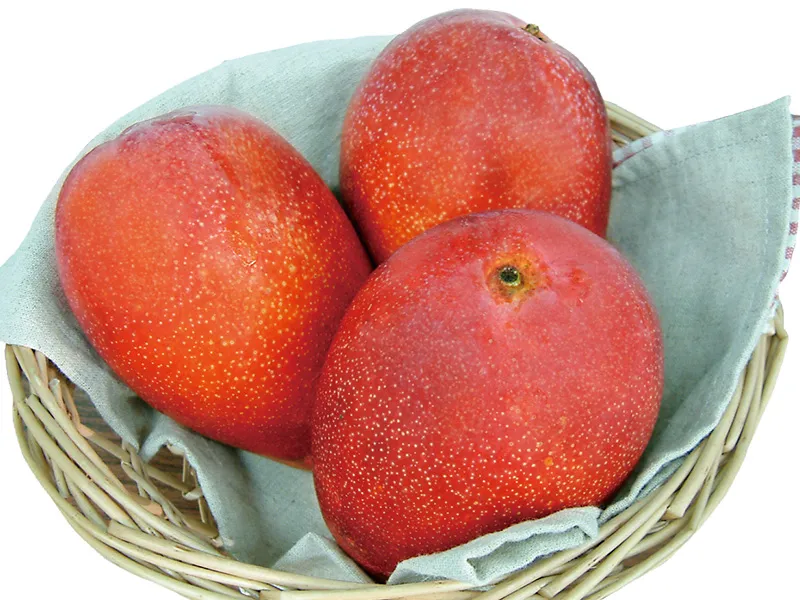 スライドショー4