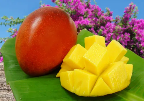 アップルマンゴー